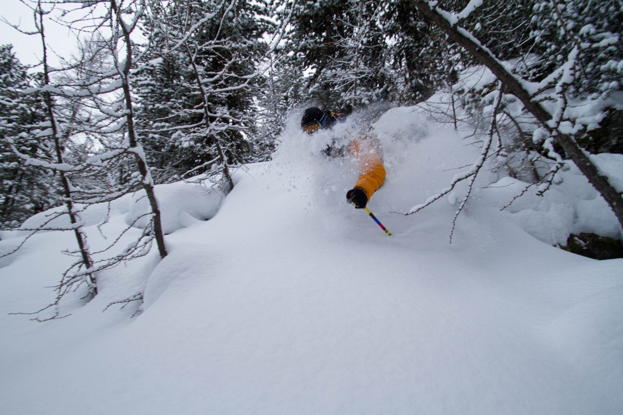 Skier in powder skiiing - Freeride ski collection - Off-piste -- Mountain Lab - Tweedehands ski's