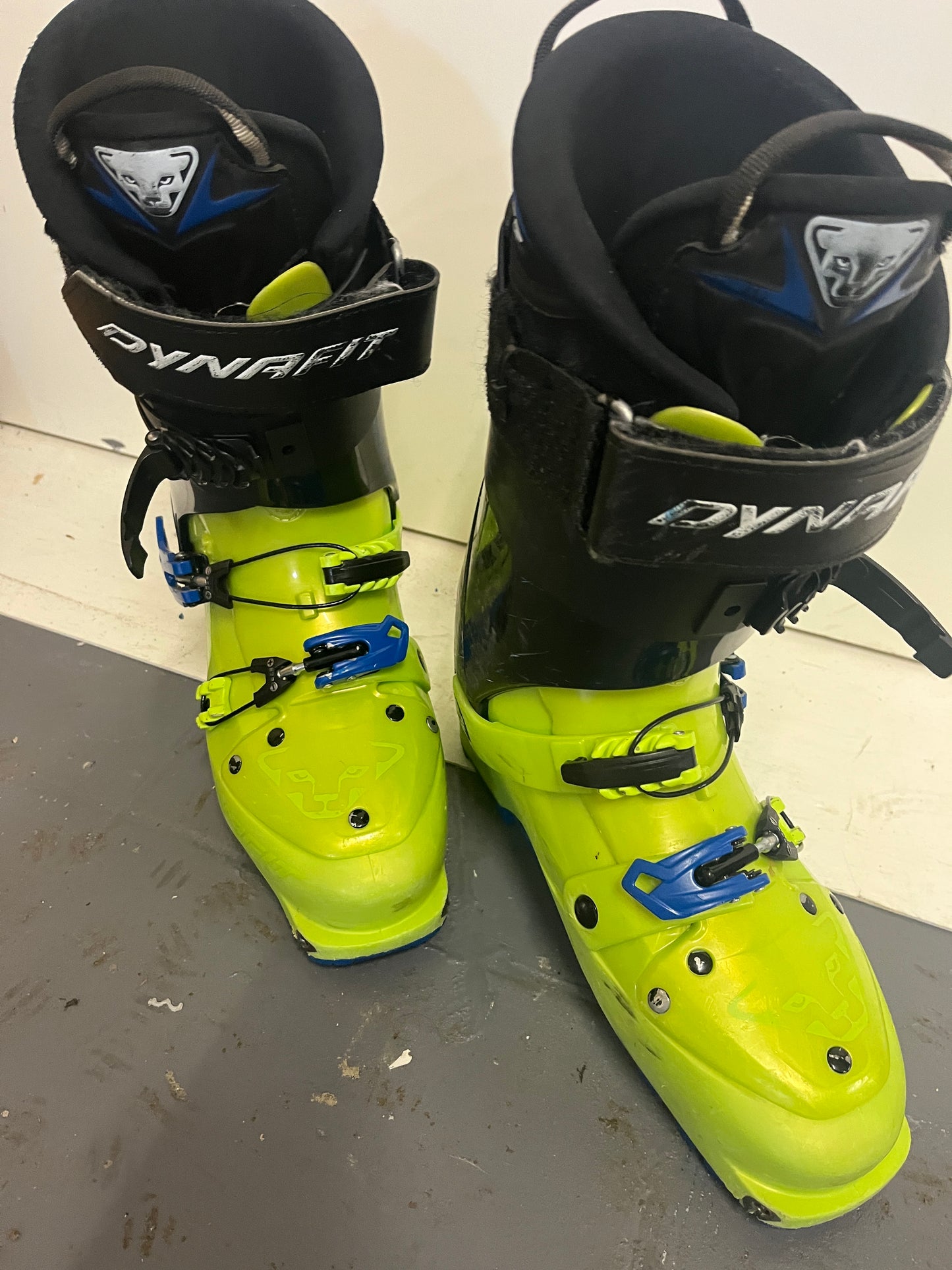 Skischoenen Dynafit Neo U (groen) - Mountain Lab
