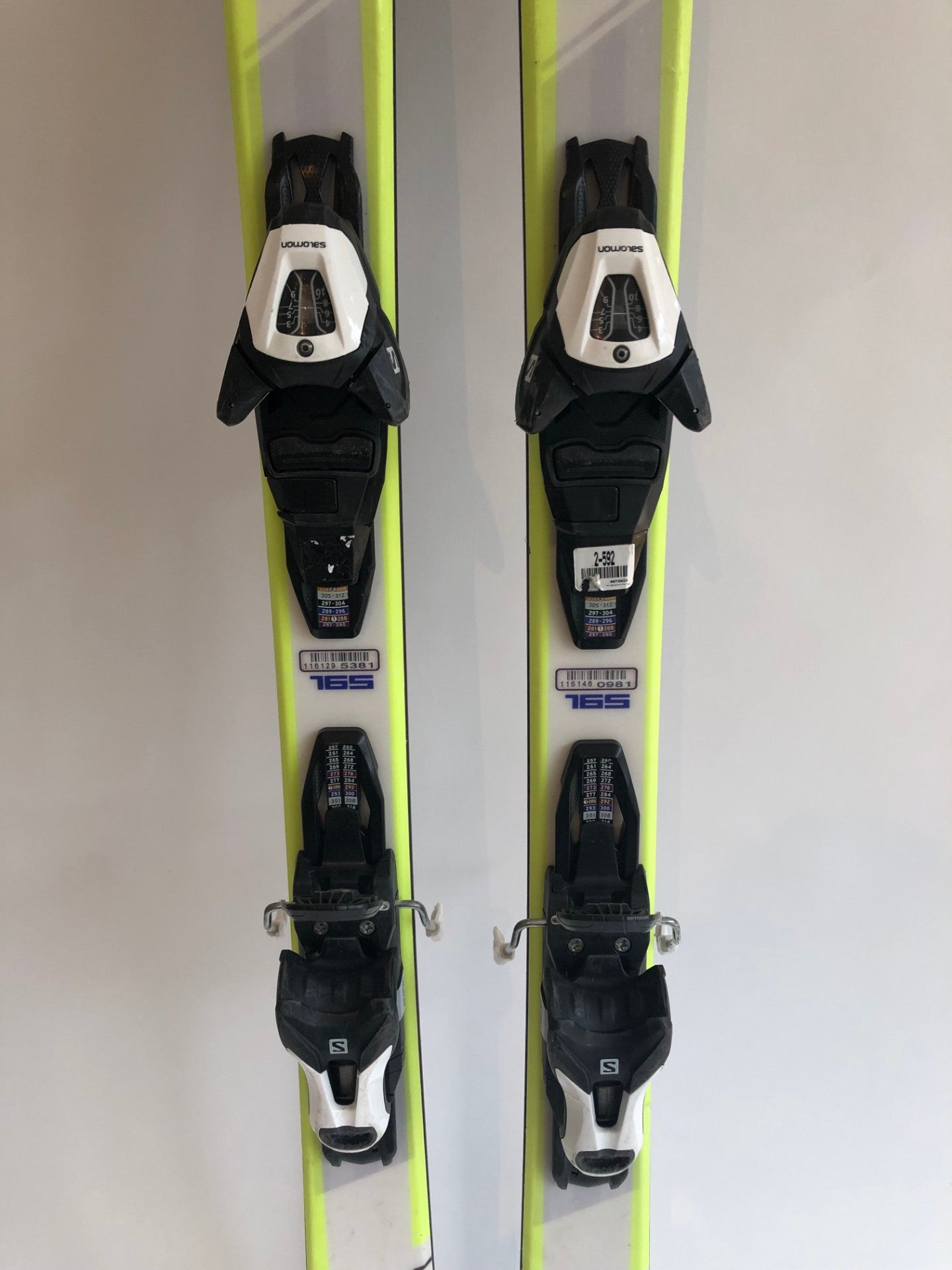 Ski Salomon XRF